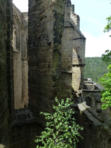 Jaguar meeting Ceske Svycarsko 2014_46