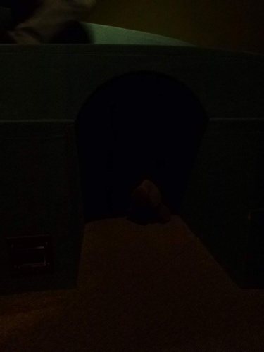 Jaguar meeting Ceske Svycarsko 2014_93