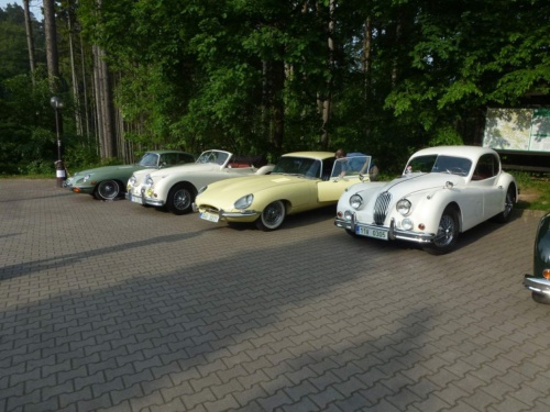 Jaguar meeting Český ráj 2016 II_02