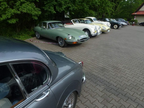 Jaguar meeting Český ráj 2016 II_05