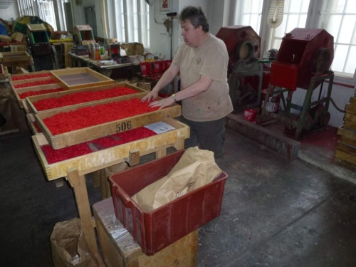 Jaguar meeting Český ráj 2016 II_20