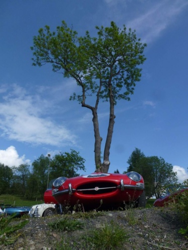 Jaguar meeting Český ráj 2016 II_26