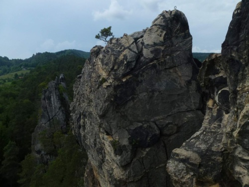Jaguar meeting Český ráj 2016 II_71
