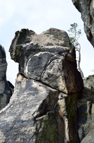 Jaguar meeting Český ráj 2016_161