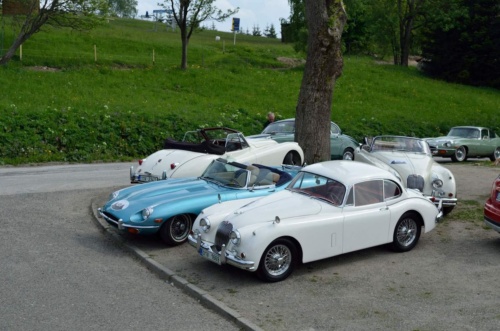 Jaguar meeting Český ráj 2016_35