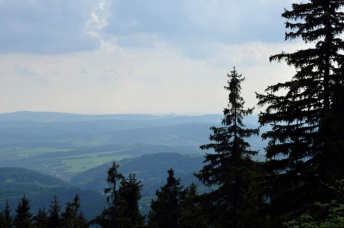 Jaguar meeting Český ráj 2016_53