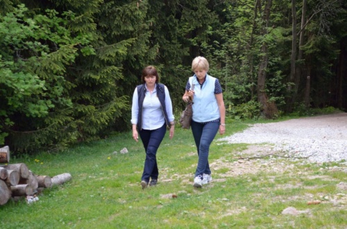 Jaguar meeting Český ráj 2016_55