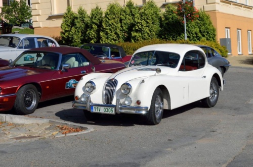 Jaguar meeting Moravsky kras 2019_19