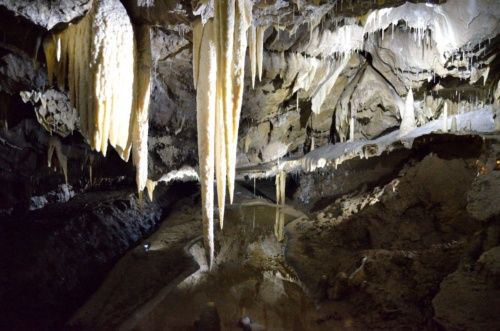 Jaguar meeting Moravsky kras 2019_36