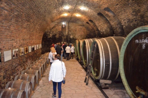 Jaguar meeting Moravsky kras 2019_79