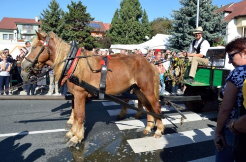 Jaguar meeting Moravsky kras 2019_97