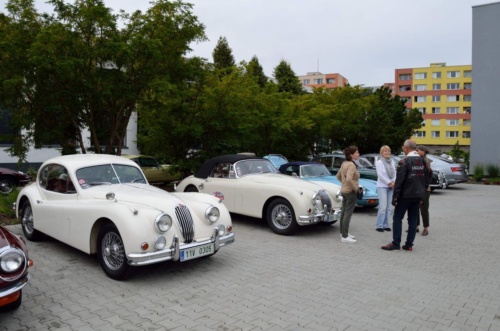 Jaguar meeting Vlasim 2019_03