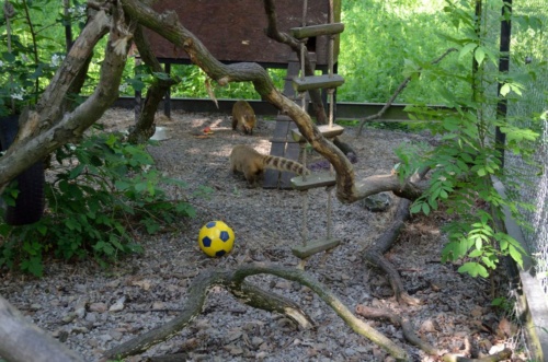 Jaguar meeting Vlasim 2019_156