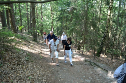 Jaguar meeting Vlasim 2019_203