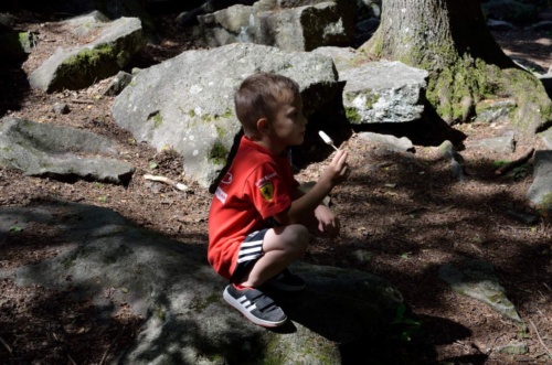 Jaguar meeting Vlasim 2019_220