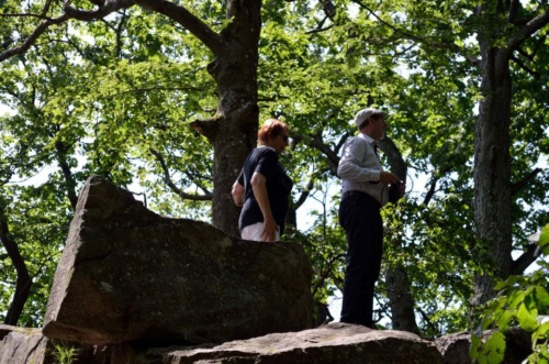 Jaguar meeting Vlasim 2019_227