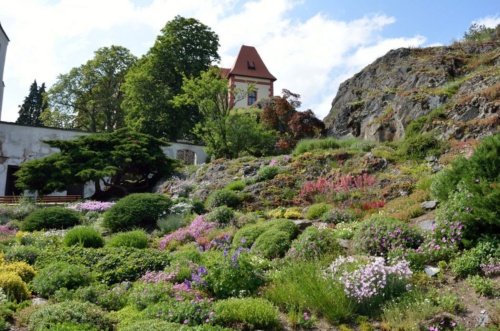 Jaguar meeting Vlasim 2019_66