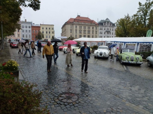 Jaguar meeting Vysočina 2013_152