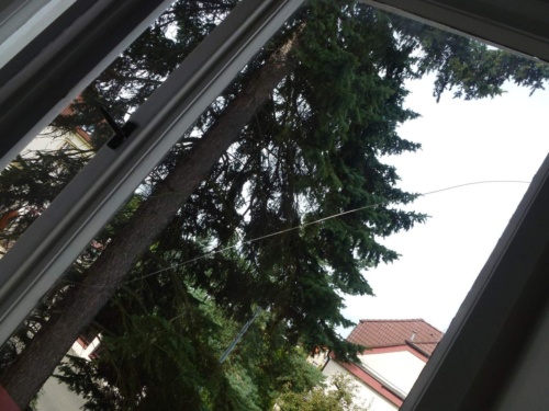 Jaguar meeting Vysočina 2013_33