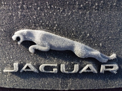 Jaguar meeting Vysočina 2013_337