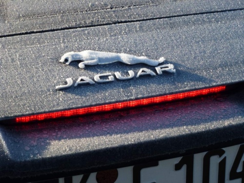 Jaguar meeting Vysočina 2013_338