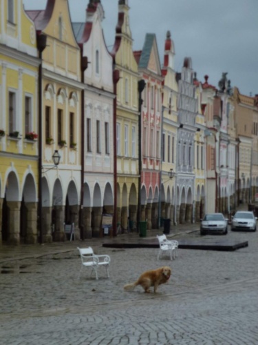 Jaguar meeting Vysočina 2013_48