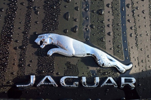 Jaguar pánska jízda - Anglie 2019_181