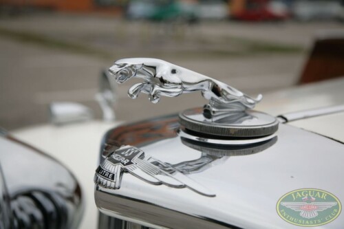 Jaguar sraz - České Budějovice 2009_03