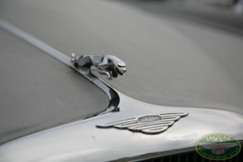 Jaguar sraz - České Budějovice 2009_13