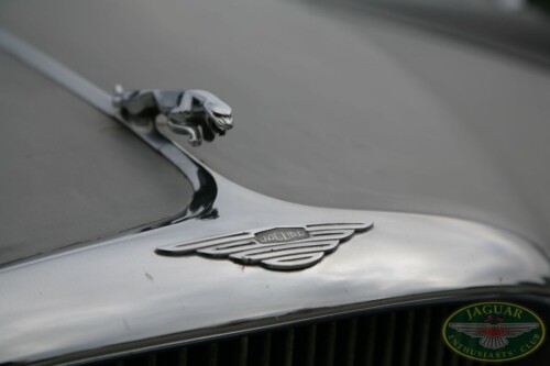 Jaguar sraz - České Budějovice 2009_14