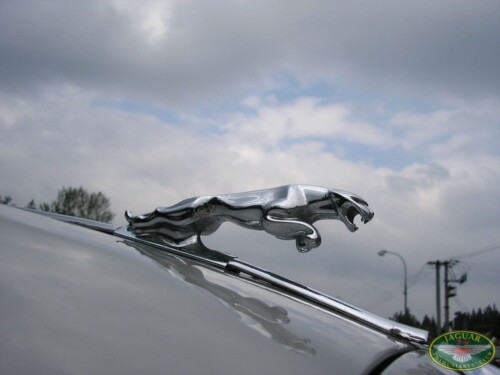 Jaguar sraz - Hluboká nad Vltavou 2008_47