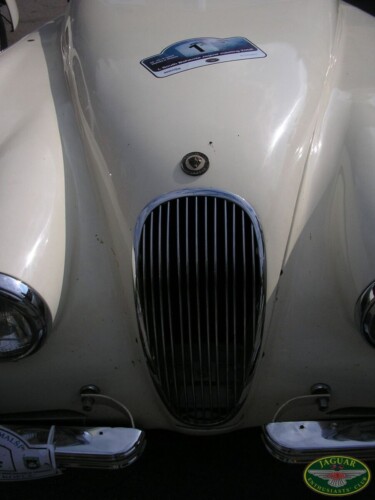 Jaguar sraz - Hluboká nad Vltavou 2008_63