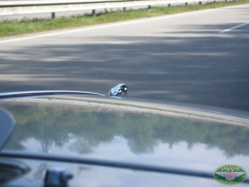 Jaguar sraz - Hluboká nad Vltavou 2008_97