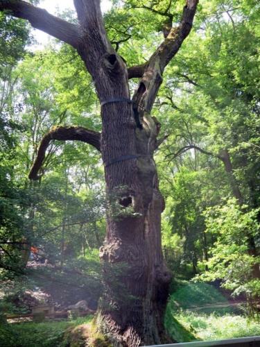 Jaguar sraz Litomerice 2018_156