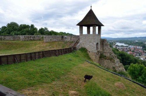 Jaguar sraz Luhačovice 2017_115