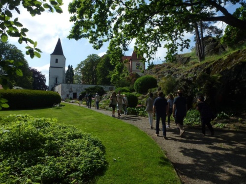 Jaguar sraz Vlasim 2019_04