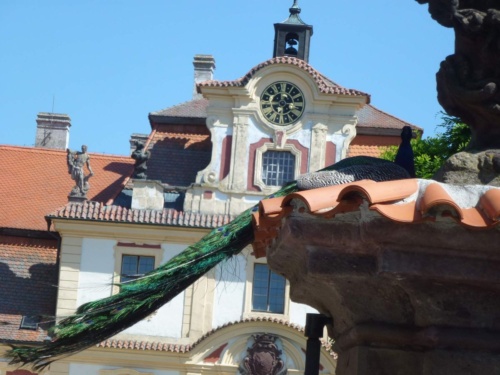 Jaguar sraz Vlasim 2019_37