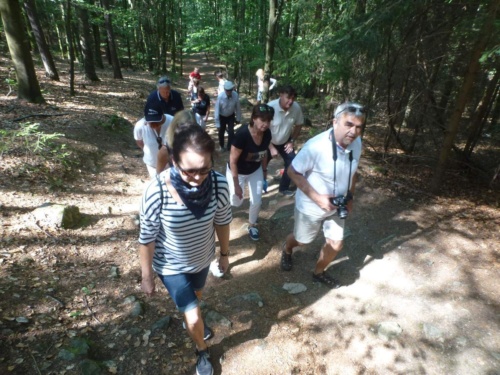 Jaguar sraz Vlasim 2019_40