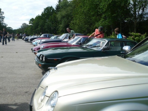 Jaguar tour 2012 II_05