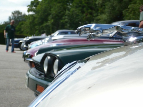 Jaguar tour 2012 II_06