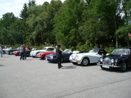 Jaguar tour 2012 II_08