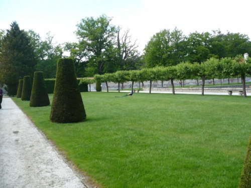 Jaguar tour 2012 II_10