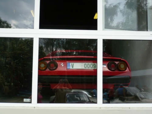 Jaguar tour 2012 II_13