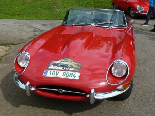 Jaguar tour 2012 II_15