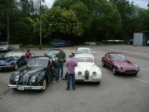 Jaguar tour 2012 II_21