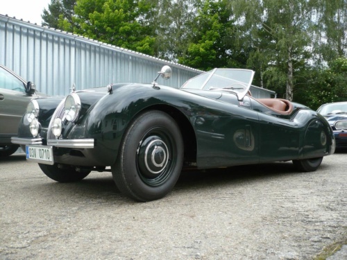 Jaguar tour 2012 II_23