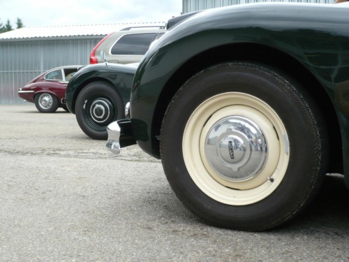 Jaguar tour 2012 II_27