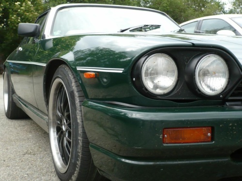 Jaguar tour 2012 II_29