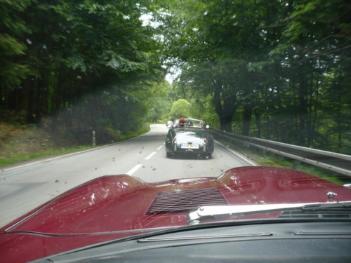 Jaguar tour 2012 II_31