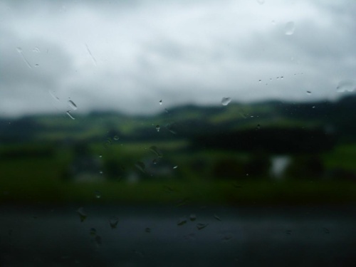 Jaguar tour 2012 II_34